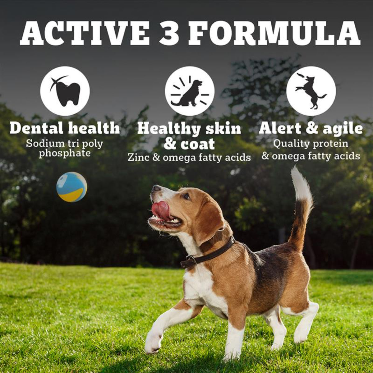 Pedigree PRO Expert Nutrition Adult Small Breed Dogs (9 Months Onwards) Dry Dog Food - Heads Up For Tails