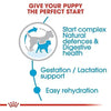 Royal Canin Mini Starter Mother & Puppy Dry Food - Heads Up For Tails