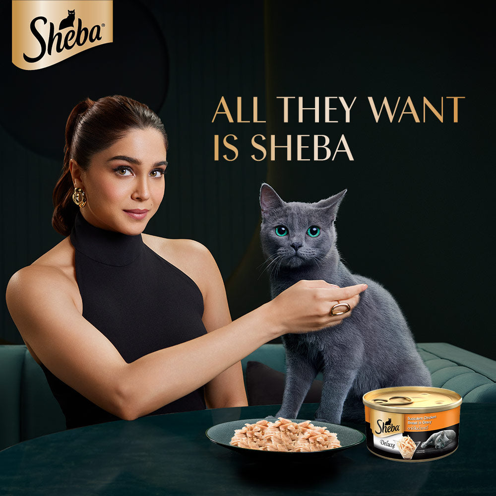 Sheba Succulent Chicken Breast in Gravy Adult Wet Cat Food - 85 g - Pack Of 1 - Heads Up For Tails