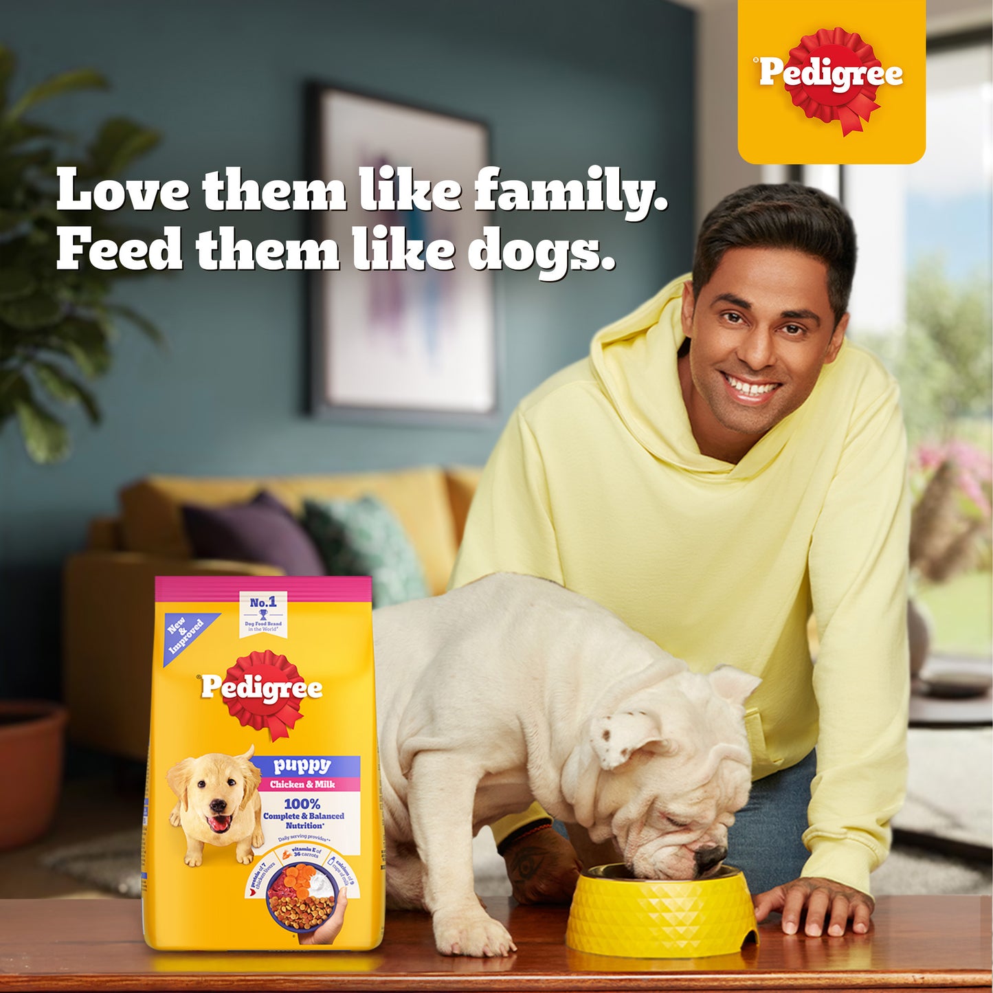 Pedigree Chicken & Milk Dry Puppy Food