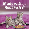Whiskas Tasty Mix Adult (1+ year) Chicken With Tuna & Carrot in Gravy Wet Cat Food - 70 gm Pack - Heads Up For Tails