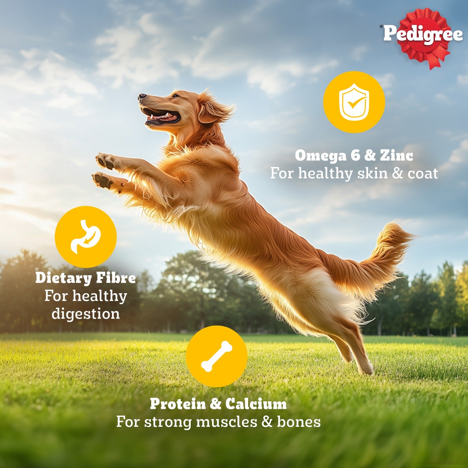 Pedigree Chicken Grilled Liver In Loaf With Vegetables Adult Dog Wet Food - 70 gm Packs - Heads Up For Tails