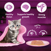 Whiskas Mackerel In Jelly Wet Food For Junior (2-12 Months) Kitten - 80 gm Pack - Heads Up For Tails