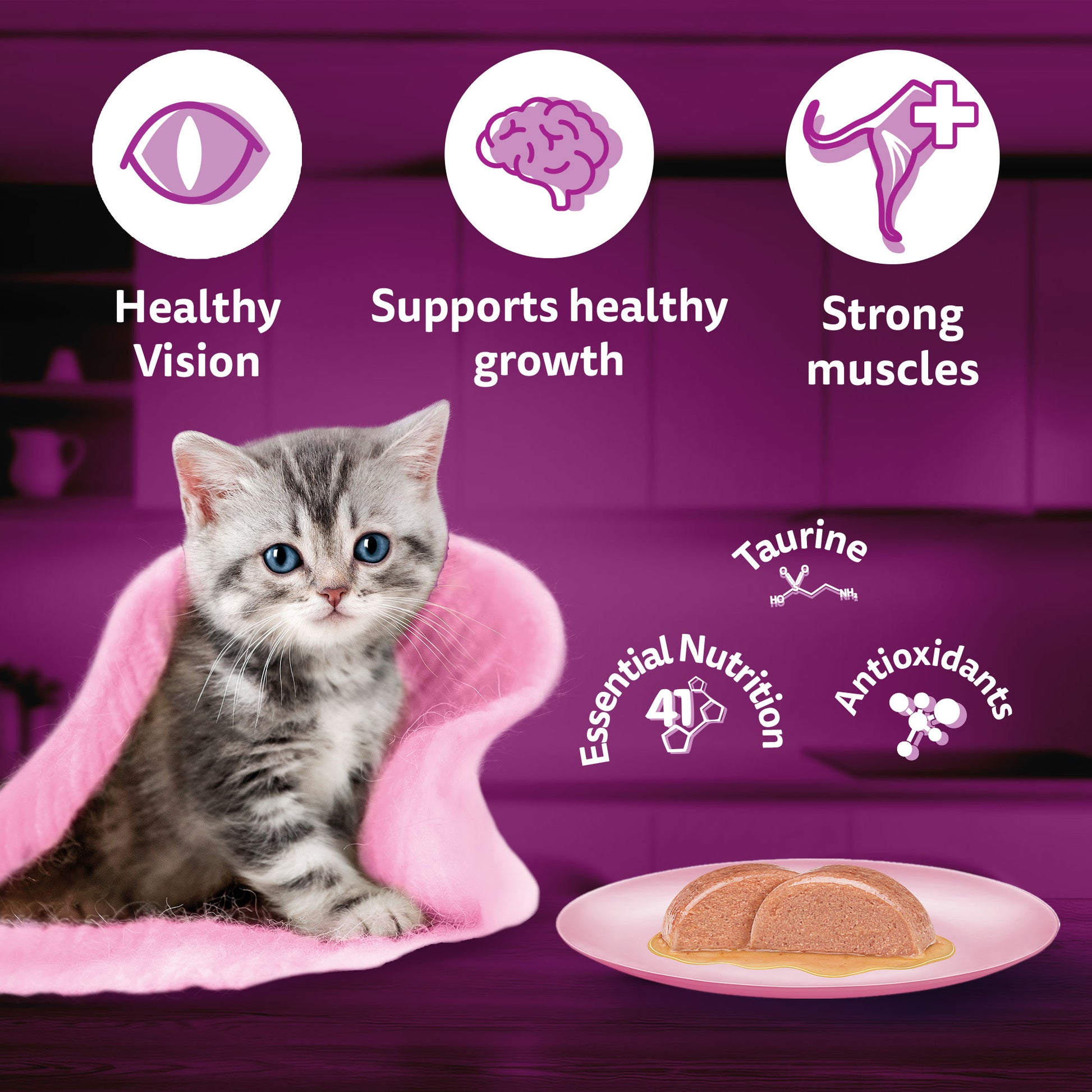 Whiskas Mackerel In Jelly Wet Food For Junior (2-12 Months) Kitten - 80 gm Pack - Heads Up For Tails