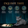 Sheba Maguro Pate Wet Food For Kitten - 70 gm - Heads Up For Tails