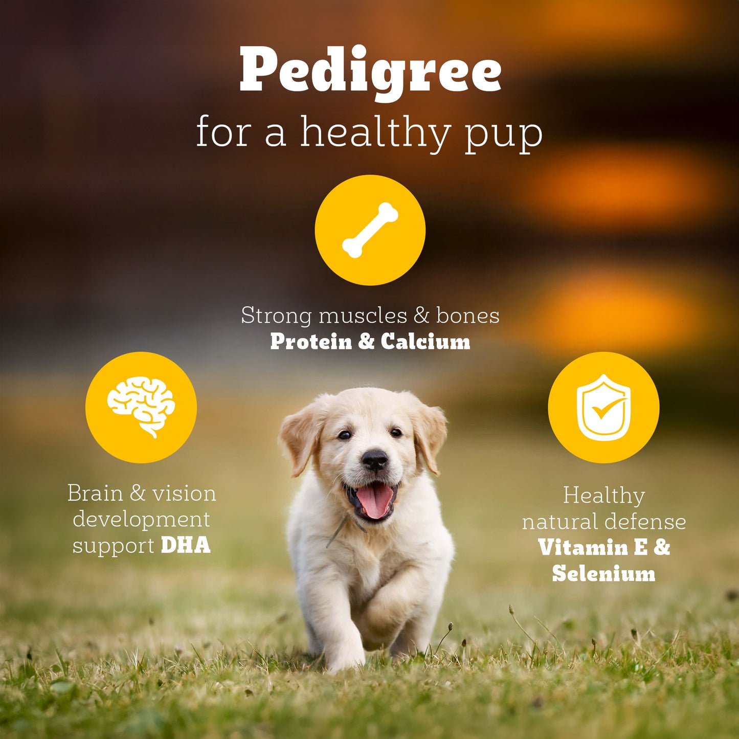 Pedigree Meat & Milk Puppy Dry Puppy Food - Heads Up For Tails