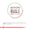 Royal Canin Veterinary Diet Recovery Canines & Felines Wet Food For Dog & Cat - 195 g - Heads Up For Tails