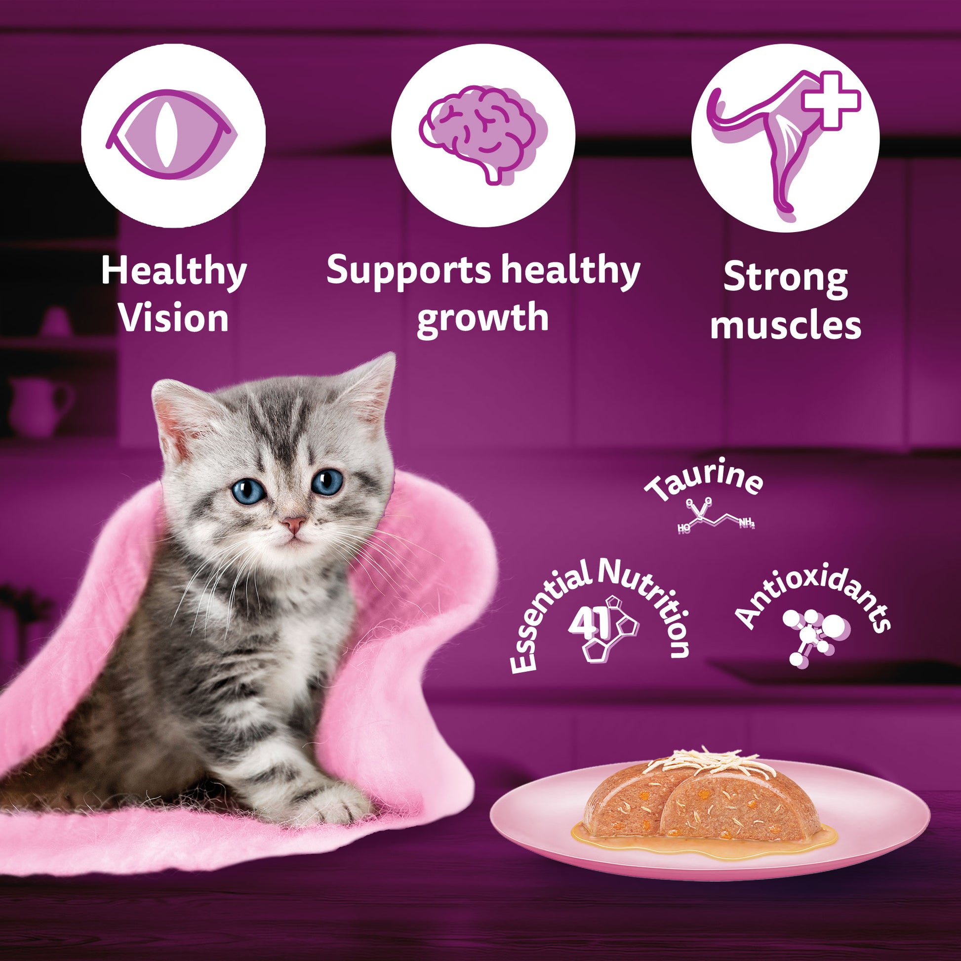 Whiskas Chicken With Salmon In Jelly Wet Food For Junior (2-12 Months) Kitten - 80 gm Pack - Heads Up For Tails
