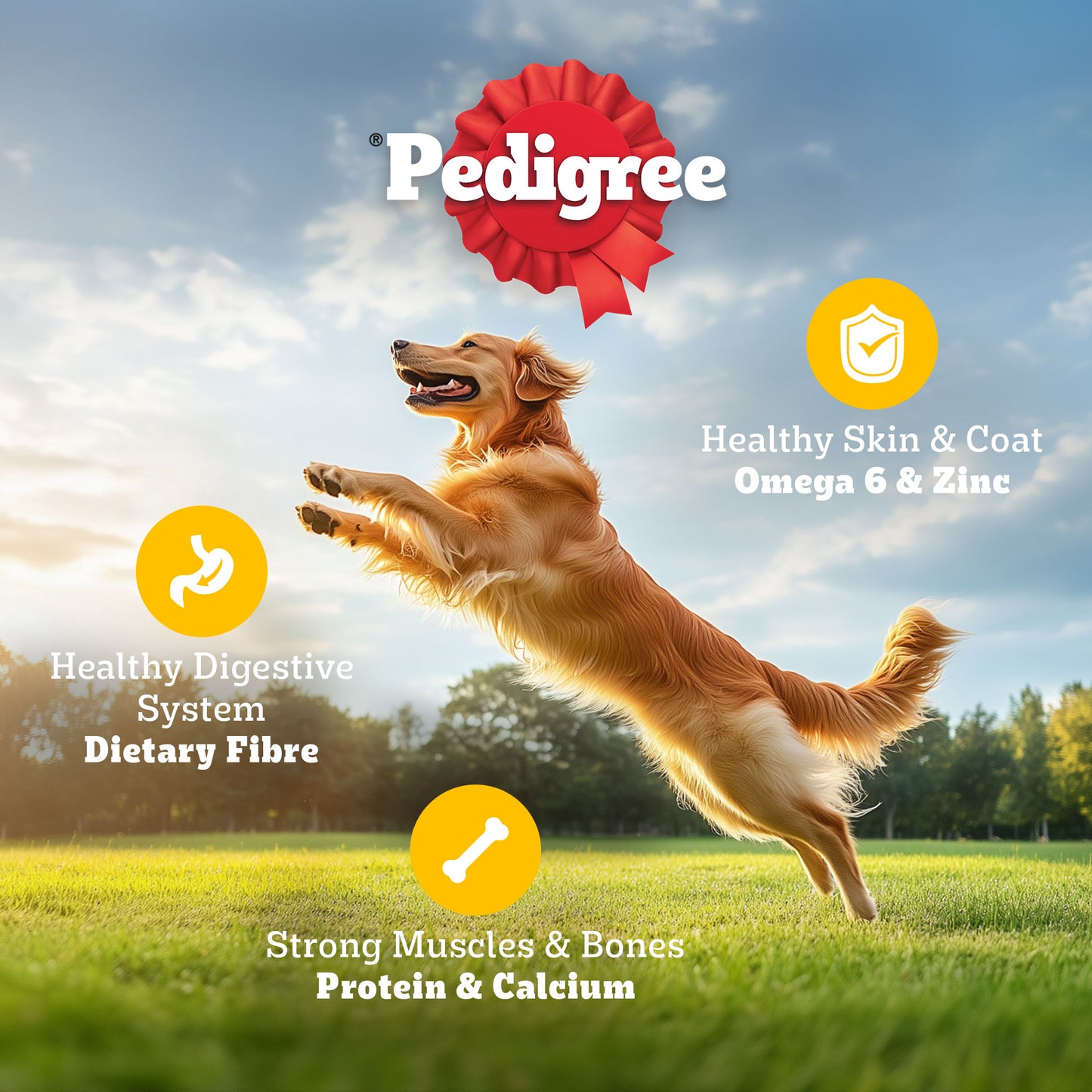 Pedigree Meat & Rice Adult Dry Dog Food - Heads Up For Tails