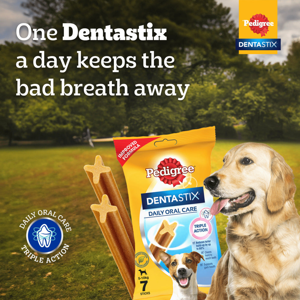 Pedigree Dentastix Dog Treat Weekly Pack For Small Breed - 110 g - Heads Up For Tails