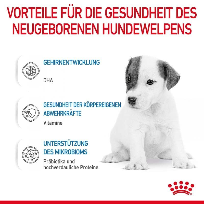 Royal Canin Baby Dog 1st Age Milk - Heads Up For Tails