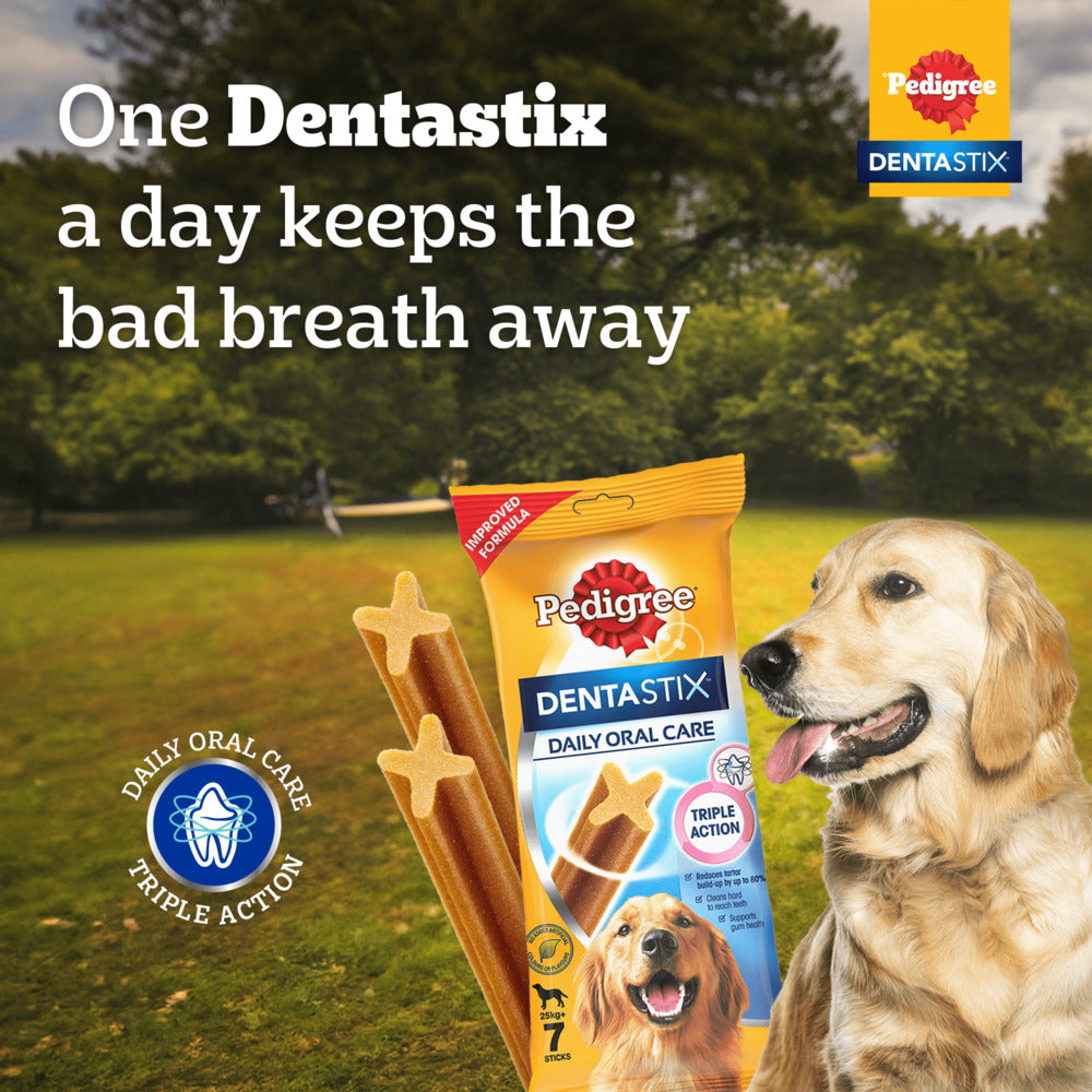 Pedigree Dentastix Dog Treat Weekly Pack For Large Breed - 270 g - Heads Up For Tails
