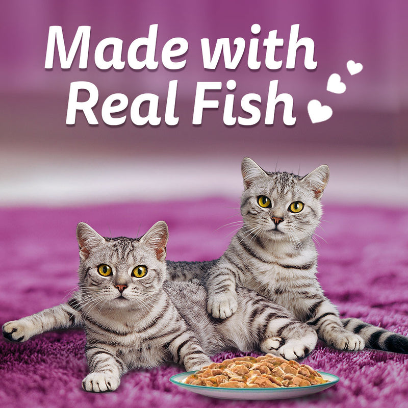 Whiskas Tasty Mix Wet Food Made With Real Fish (Salmon & Wakame Seaweed) With Chicken in Gravy For Adult (1+ year) Cat - 70 gm Pack - Heads Up For Tails