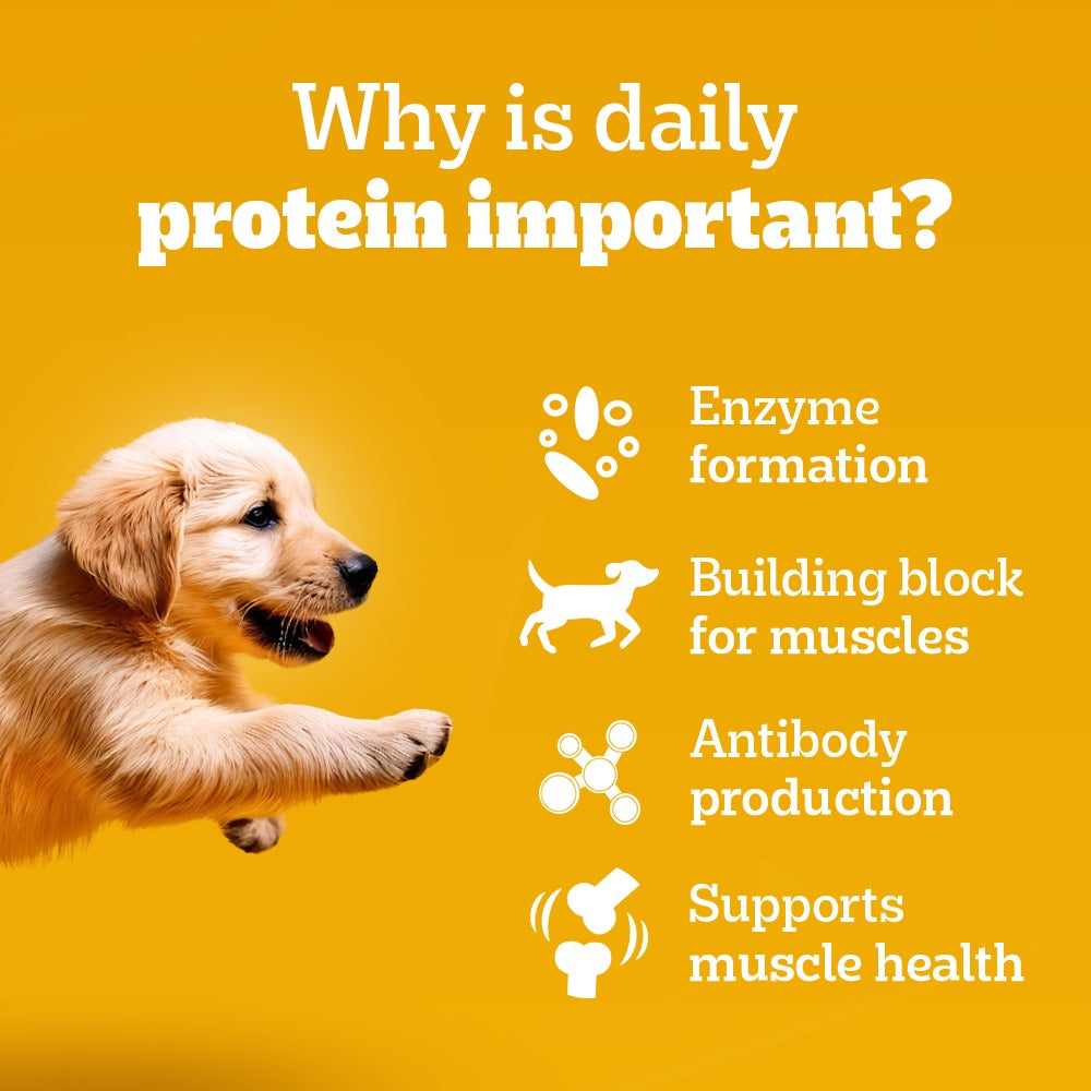 Pedigree Chicken & Liver Chunks in Gravy with Vegetables Wet Puppy Food - 70Gm Packs - Heads Up For Tails