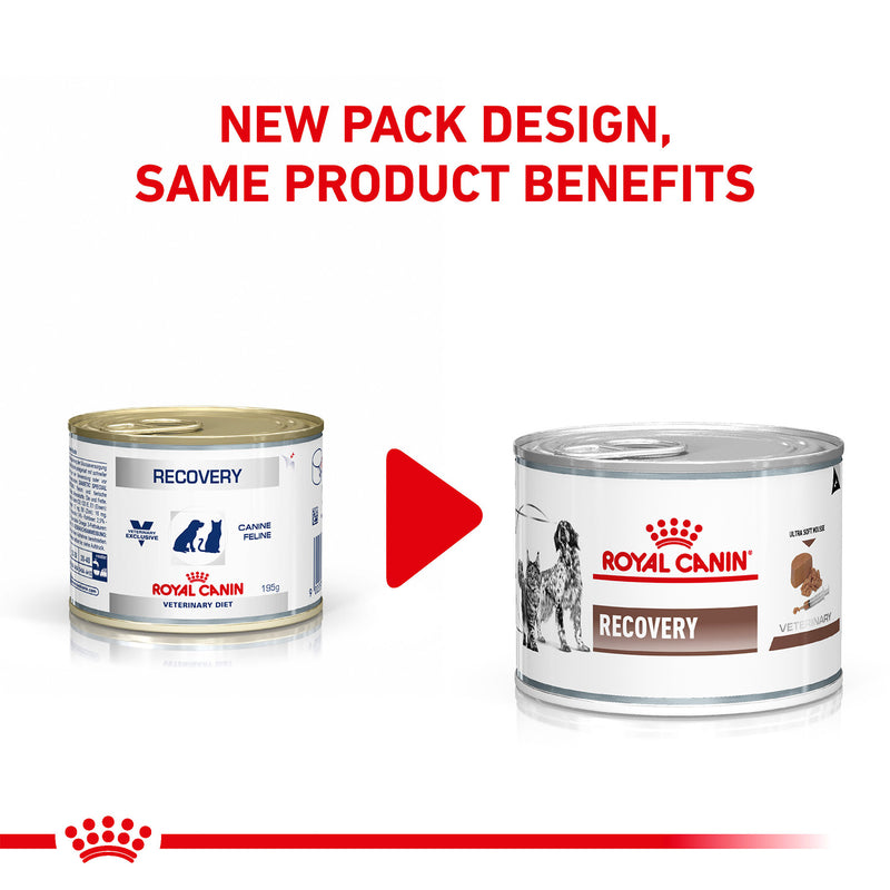 Royal Canin Veterinary Diet Recovery Canines & Felines Wet Food For Dog & Cat - 195 g - Heads Up For Tails
