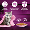 Whiskas Tasty Mix Seafood Cocktail With Carrot In Gravy Wet Food For Junior (2-12 Months) Kitten- 70 gm Pack - Heads Up For Tails