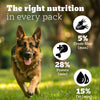 Pedigree PRO Expert Nutrition Active Adult Dry Dog Food - Heads Up For Tails
