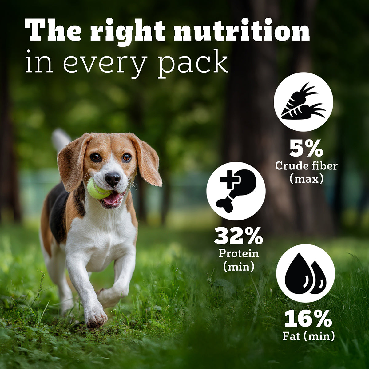 Pedigree PRO Expert Nutrition Lactating/Pregnant Mother & Puppy Starter (3-12 Weeks) Small Breed Dog Dry Food - Heads Up For Tails