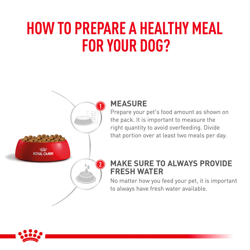 Royal Canin Veterinary Anallergenic Dry Food For Dog - Heads Up For Tails