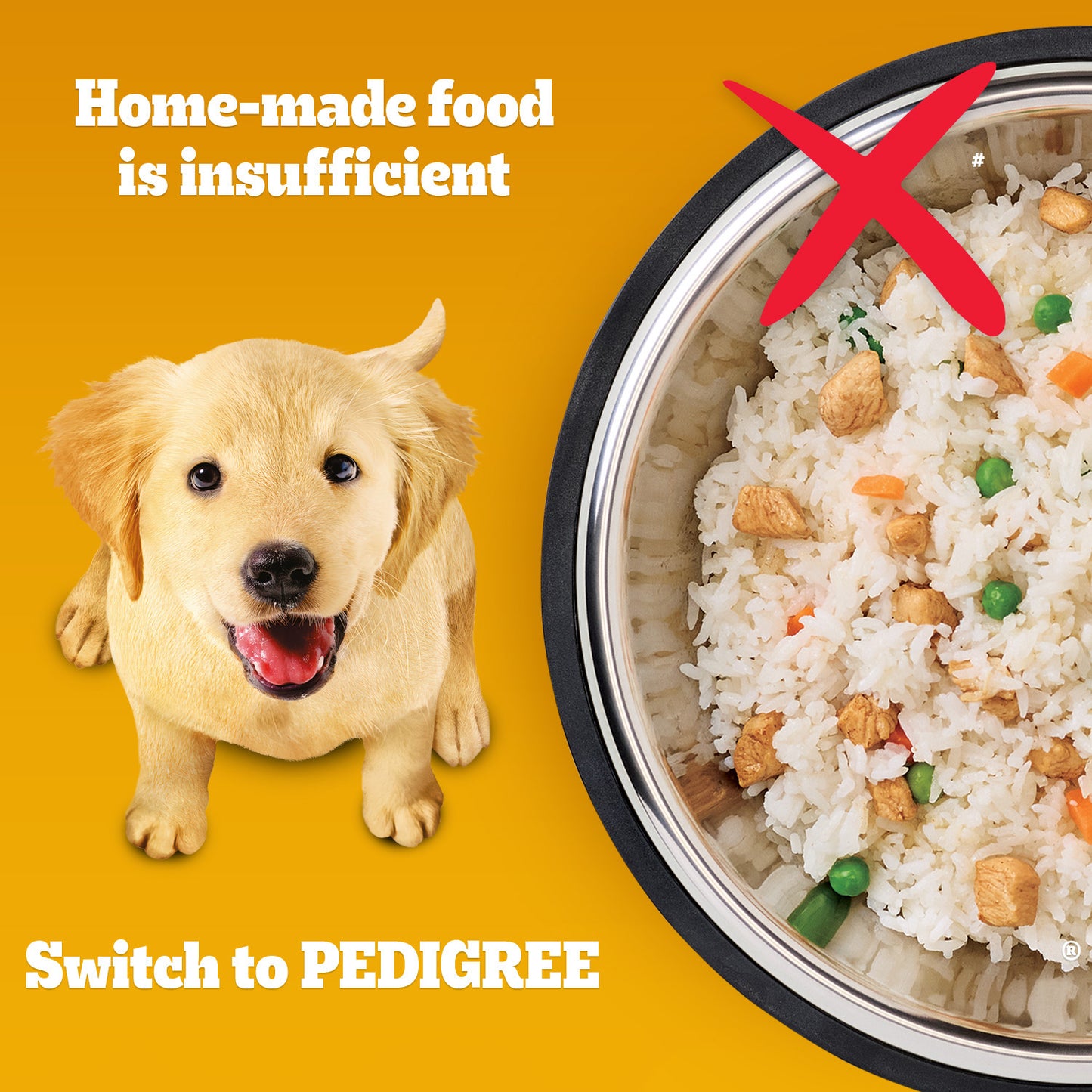 Pedigree Chicken & Milk Dry Puppy Food