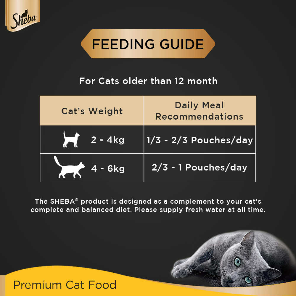 Sheba Rich Premium Tuna Pumpkin & Carrot In Gravy Adult Wet Cat Food - 70 g (Pack Of 12) - Heads Up For Tails