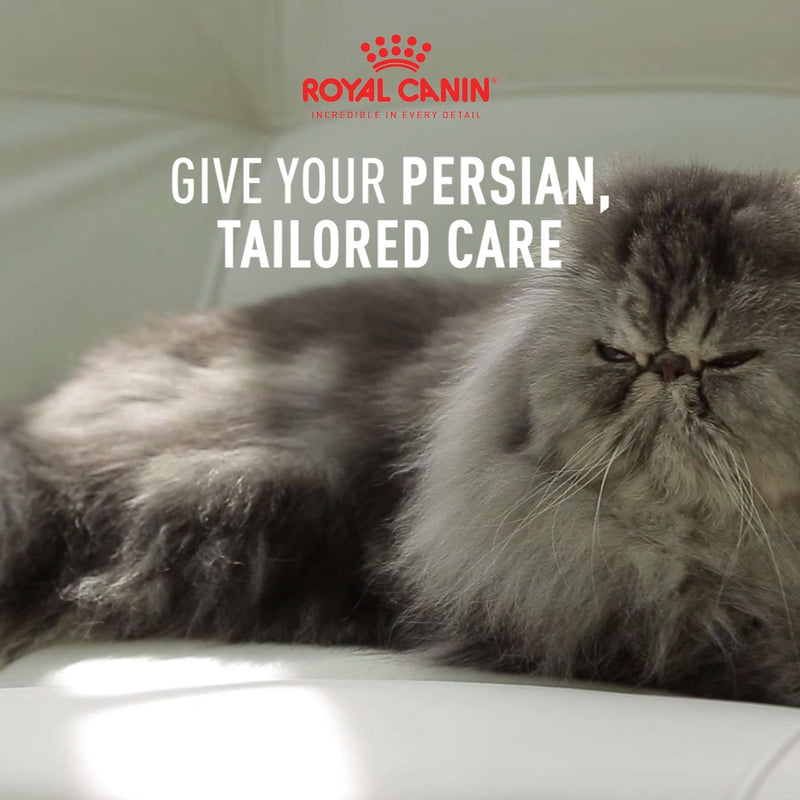 Royal Canin Persian Adult Dry Cat Food - Heads Up For Tails