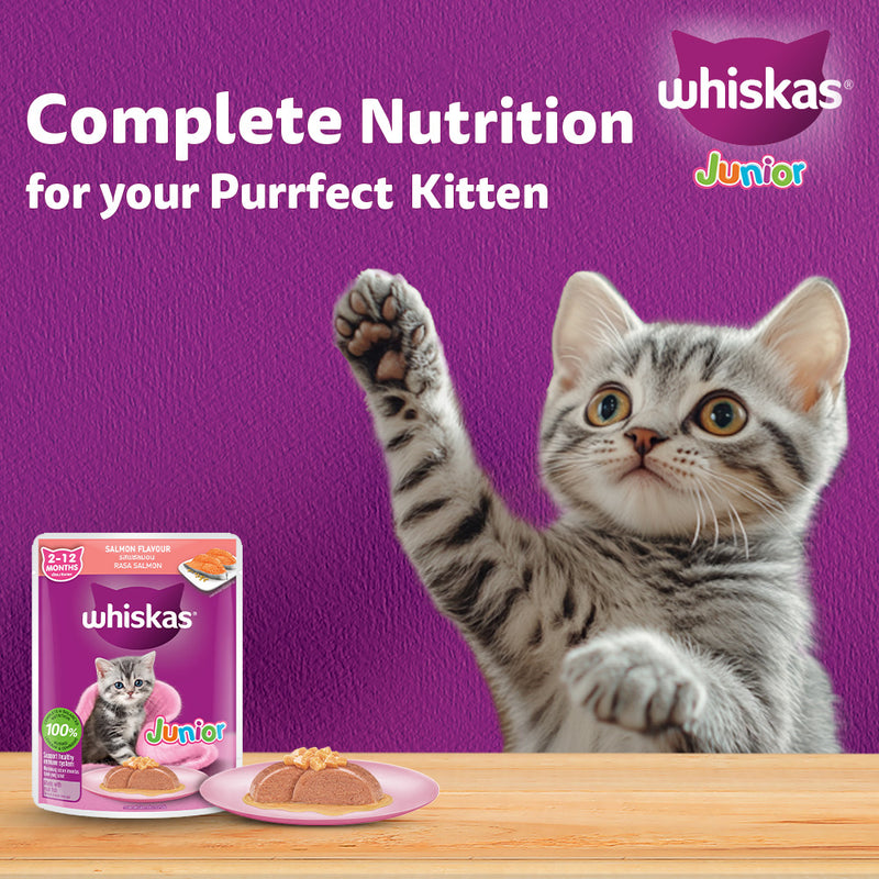 Whiskas Junior Kitten (2-12 Months) Salmon in Jelly Flavour Wet Cat Food - 80 gm Pack