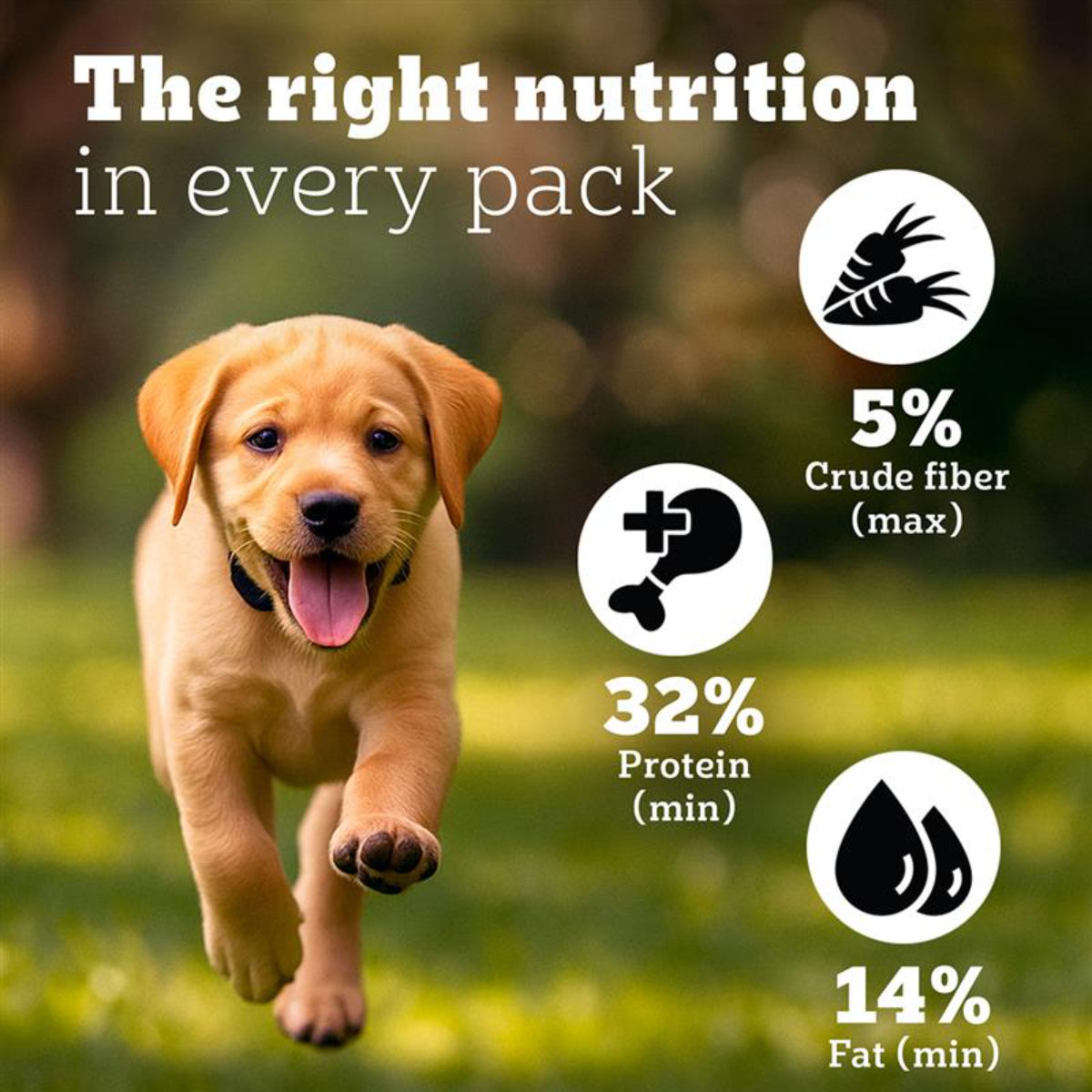 Pedigree PRO Expert Nutrition Dry Dog Food For Large Breed Puppy (3-18 Months) - Heads Up For Tails