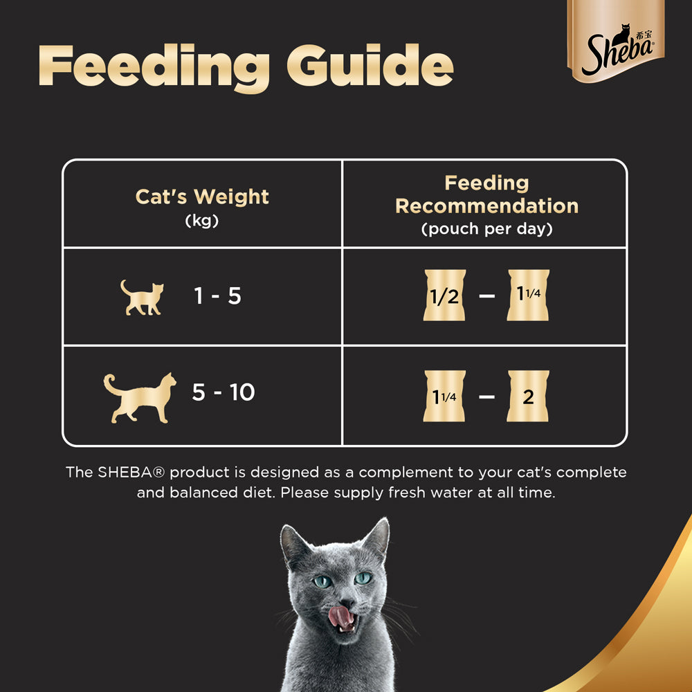 Sheba Fish with Sasami Adult Wet Cat Food - 35 gm Packs - Heads Up For Tails