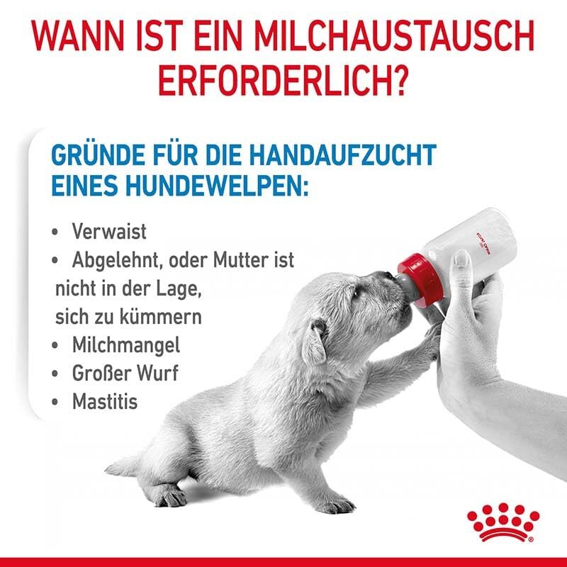 Royal Canin Baby Dog 1st Age Milk - Heads Up For Tails
