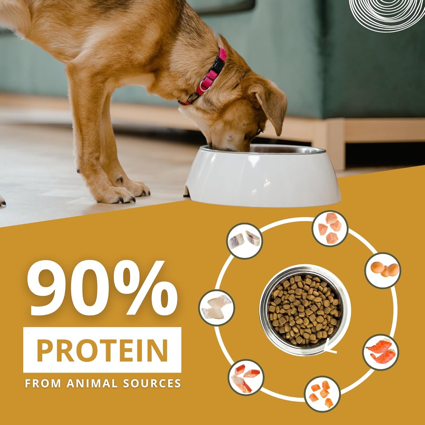 Charm Premium Grain Free Dry Food For Adult Dog - Heads Up For Tails