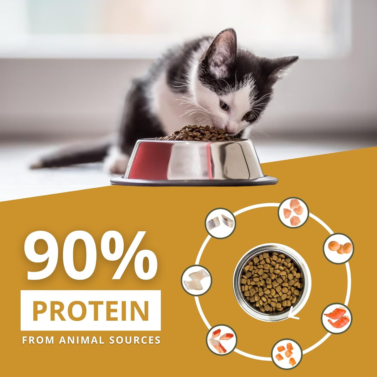 Charm Premium Surf & Turf With Lobster Grain Free Dry Food For Cat - Heads Up For Tails