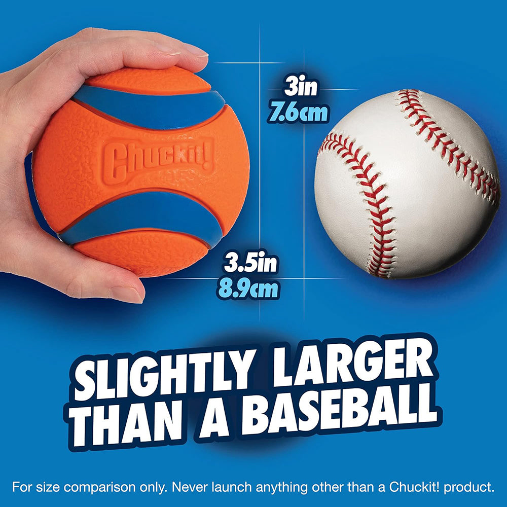 Chuckit! Ultra Ball Dog Toy - Orange & Blue_08