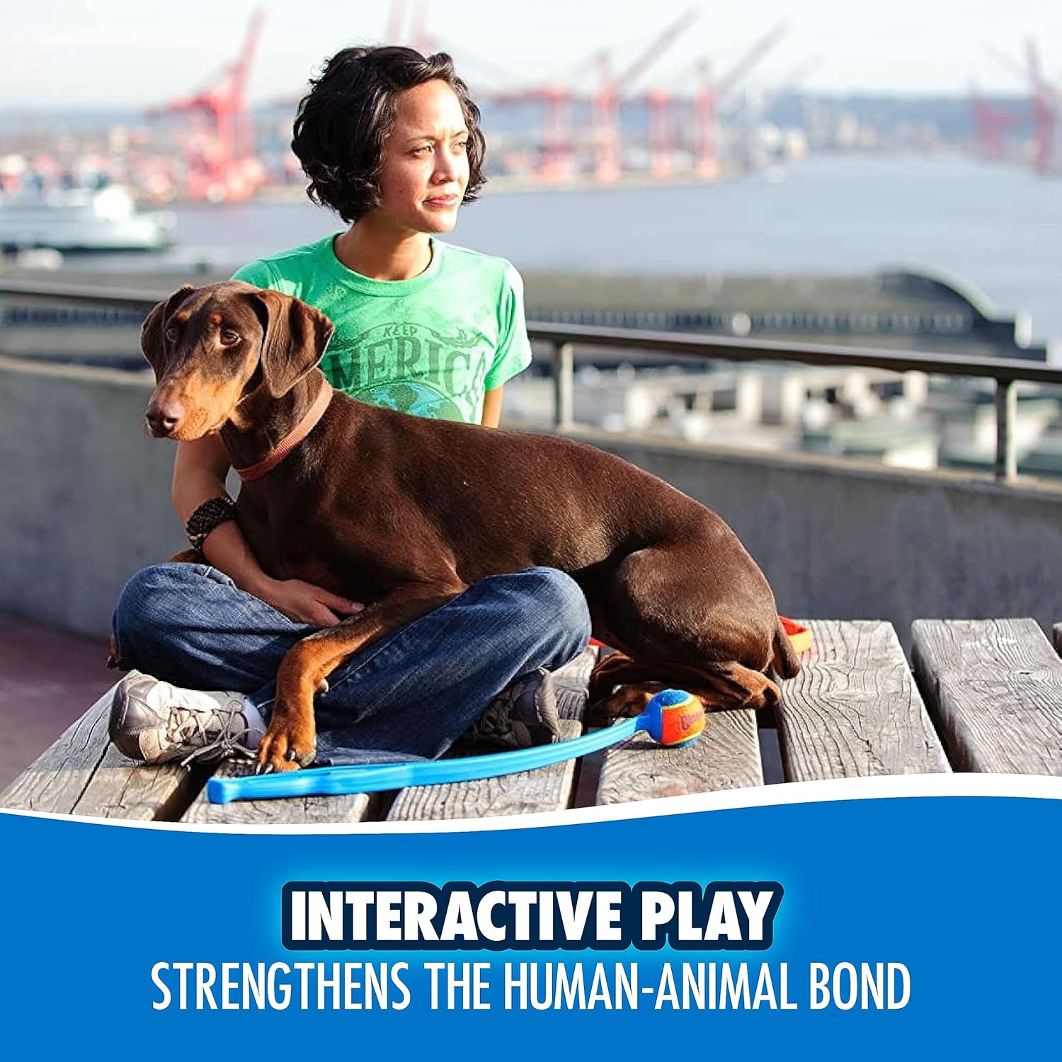 Chuckit! Sport Ball Launcher Fetch Toy For Dog - Assorted - Heads Up For Tails