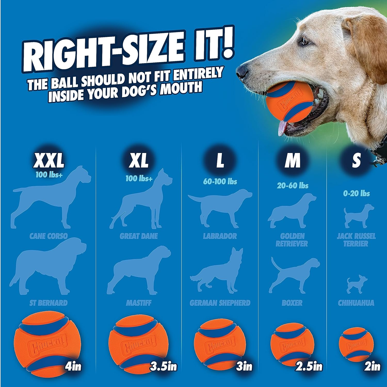 Chuckit! Sport Ball Launcher Fetch Toy For Dog - Assorted - Heads Up For Tails