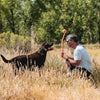 Chuckit! Sport Ball Launcher Fetch Toy For Dog - Assorted - Heads Up For Tails