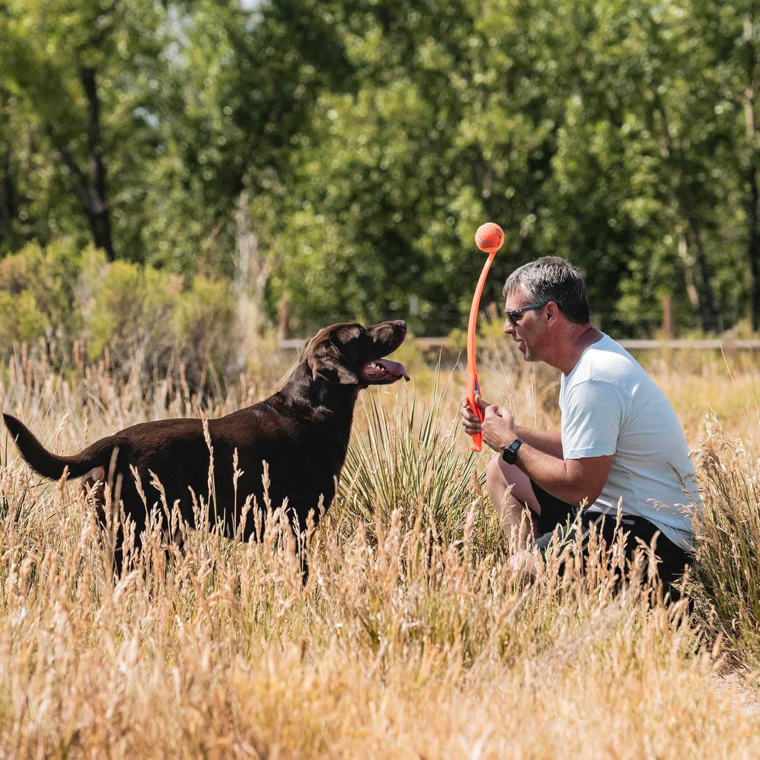 Chuckit! Sport Ball Launcher Fetch Toy For Dog - Assorted - Heads Up For Tails