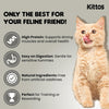 Kittos Purr-Fect Tuna Jerky Strips Cat Treats - 35 g - Heads Up For Tails