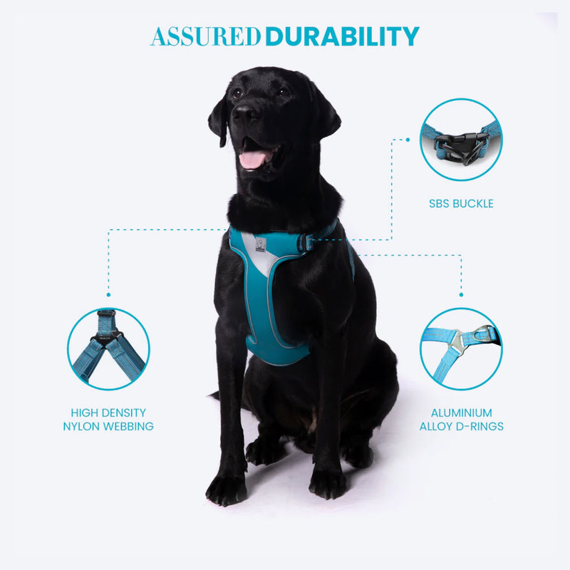 Truelove Step-In Harness For Dog With 3M Reflective Fabric - Blue - Heads Up For Tails