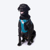Truelove Step-In Harness For Dog With 3M Reflective Fabric - Blue - Heads Up For Tails