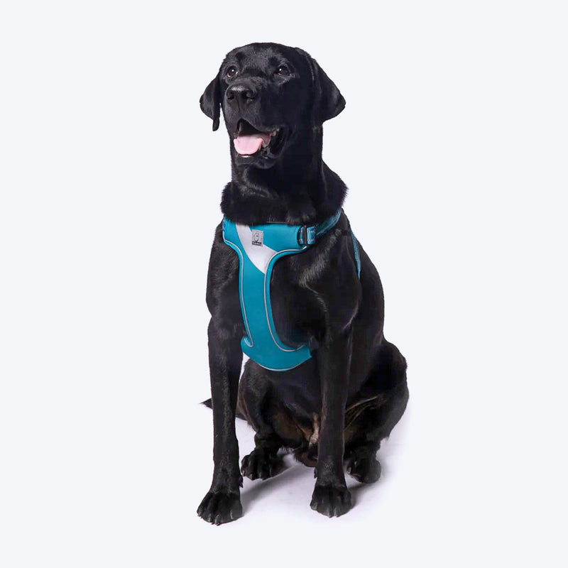Truelove Step-In Harness For Dog With 3M Reflective Fabric - Blue - Heads Up For Tails
