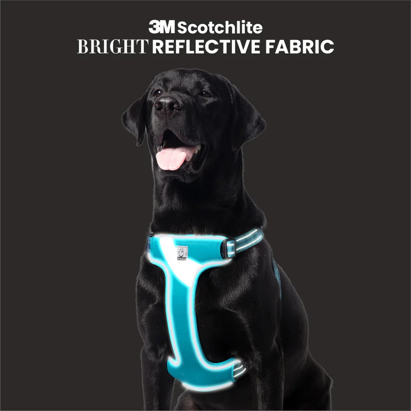 Truelove Step-In Harness For Dog With 3M Reflective Fabric - Blue - Heads Up For Tails