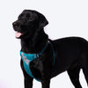 Truelove Step-In Harness For Dog With 3M Reflective Fabric - Blue - Heads Up For Tails