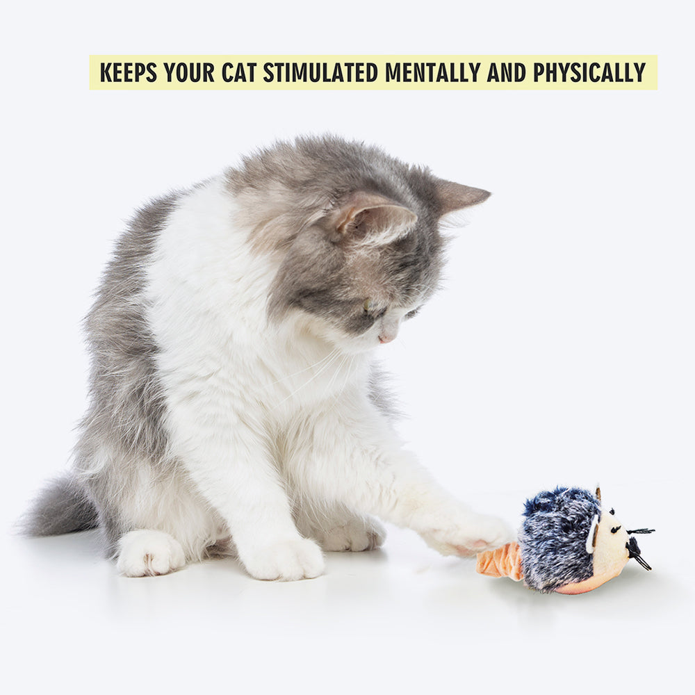 FOFOS Pull String & Sound Chip Catnip Inside Squeaky Toy For Cat - Grey - Heads Up For Tails