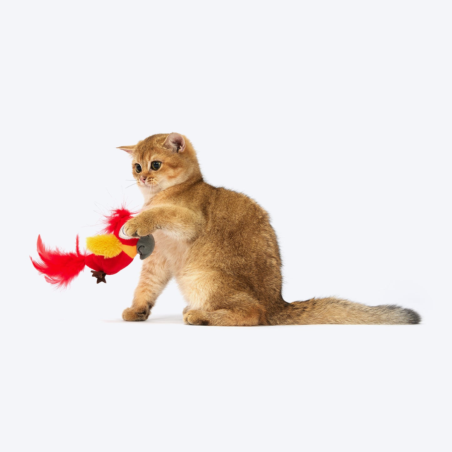 FOFOS Chirping Parrot Sound With Catnip Balls Interactive Toy For Cat - Red & Yellow - Heads Up For Tails