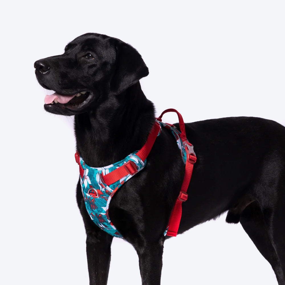 Truelove No-Pull Special Edition Harness For Dog - Camouflage Blue - Heads Up For Tails