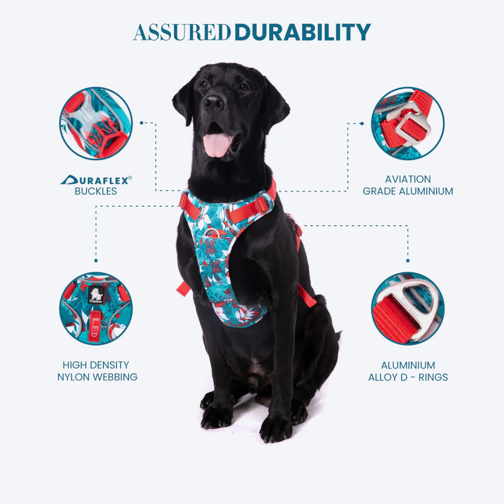 Truelove No-Pull Special Edition Harness For Dog - Camouflage Blue - Heads Up For Tails