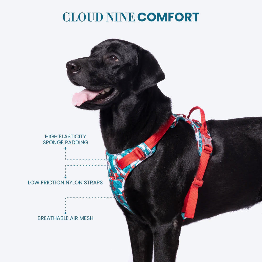 Truelove No-Pull Special Edition Harness For Dog - Camouflage Blue - Heads Up For Tails