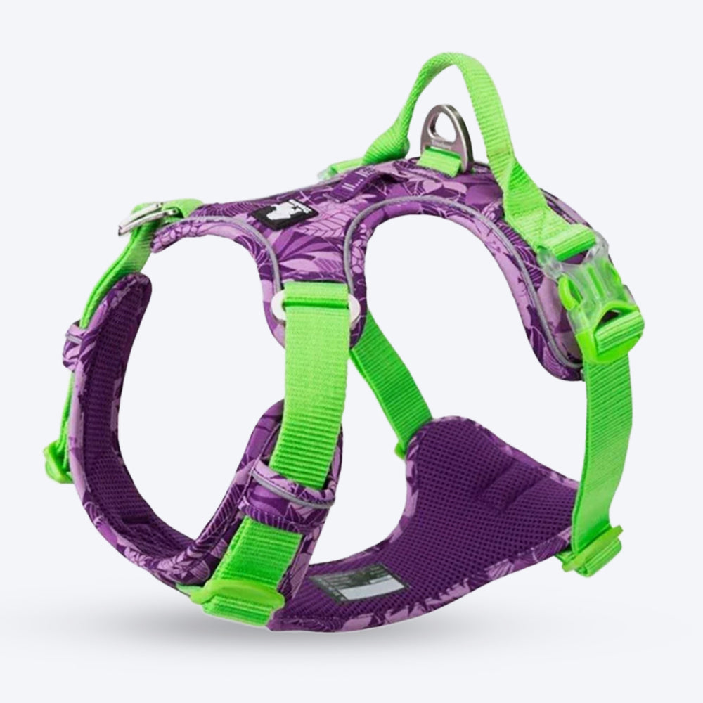 Truelove No-Pull Special Edition Harness For Dog - Camouflage Purple - Heads Up For Tails