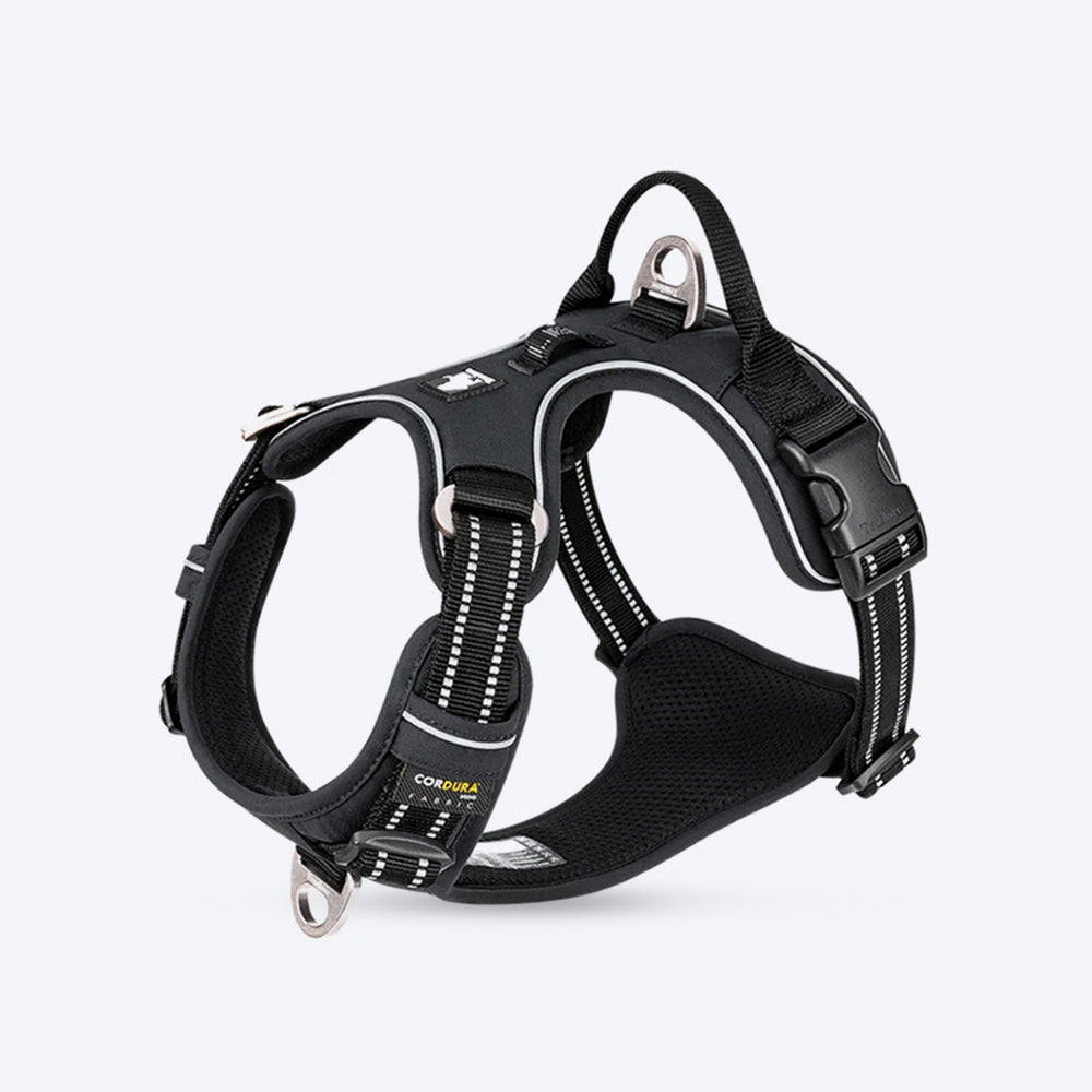 Truelove No Pull Cordura Harness For Dog - Black